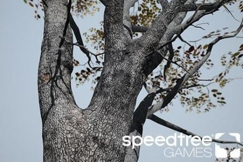 Speedtree Games IndieرءSpeedtree Games Indie(3Dƹ) v8.3 ٷ汾