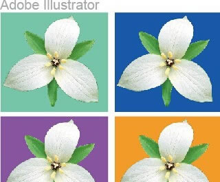 Adobe Illustrator CS6ٷİôͼ