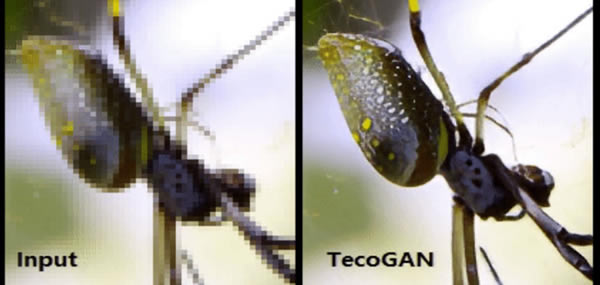 tecoganṩءTecoGanPC v1.0 ٷѰ