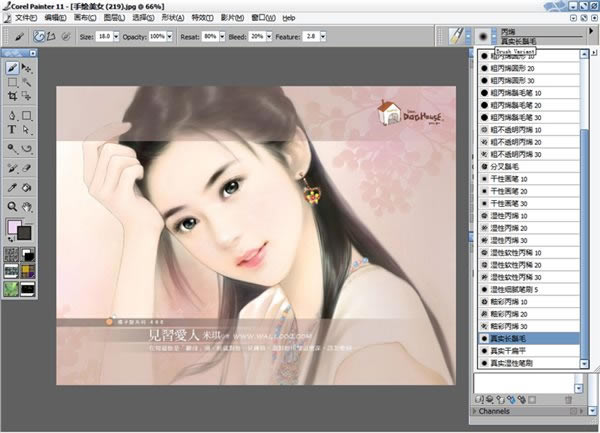 Corel PainterءCorel Painter 11 ɫر-վ