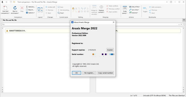 Araxis Merge Pro 2022b؄e̳6