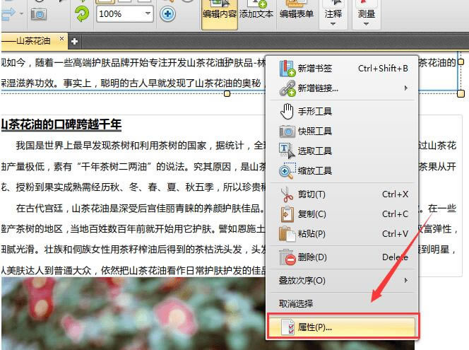 Ѹpdf݋؄eٶdѸPDF݋ȥˮӡ v2021 M