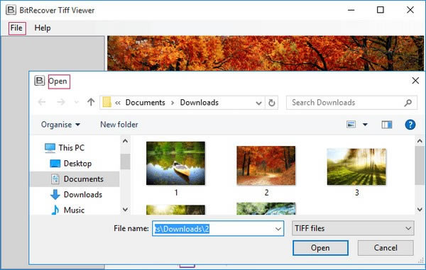 【BitRecover Tiff Viewer官方版本下載】BitRecover Tiff Viewer(TIFF文件查看器) v2.2 官方版本