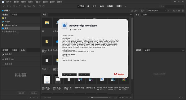 Adobe Bridge 2021特別版截圖