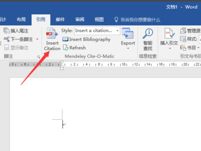 MendeleyİôP(gun)(lin)Word