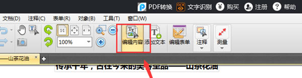 ѸPDF༭޸ֲ2ͼ