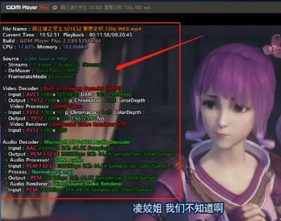 GOM Player Plus�ű��ӽ��ʹ�÷���3