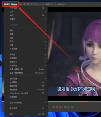 GOM Player Plus�ű��ӽ��ʹ�÷���4