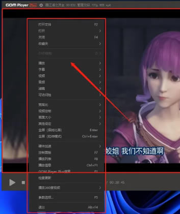 GOM Player Plus�ű��ӽ��ʹ�÷���5