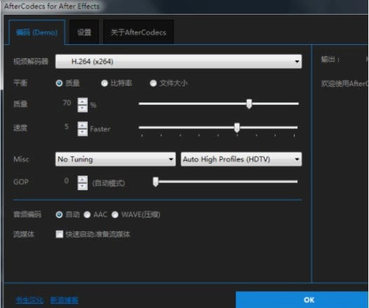 AfterCodecs�����ô��2