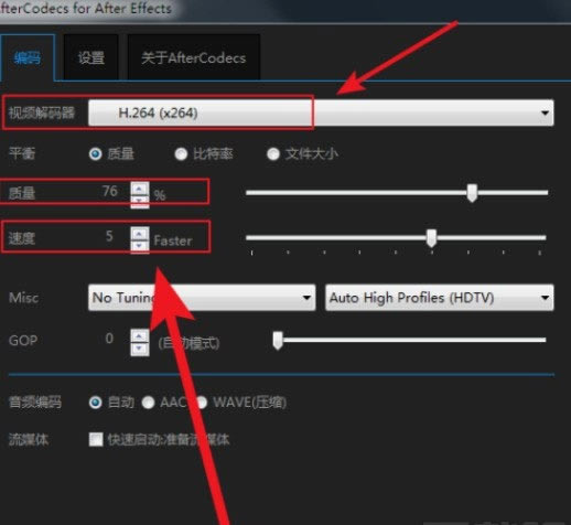 AfterCodecs�����ô��6
