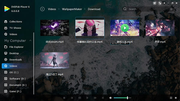 DVDFab Player 6�⼤��氲װ����4