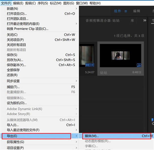 Adobe Premiere Pro 2024ʹ�÷���8