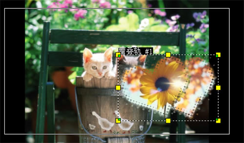 ������Ӱ2020����������֣�3