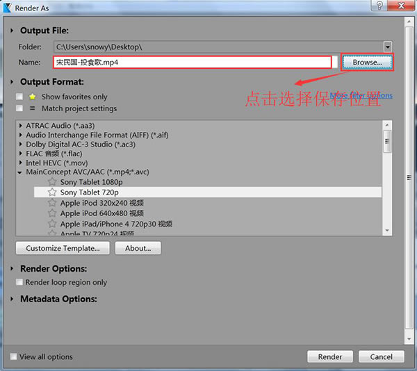 MAGIX VEGAS Pro 21�⼤���ʹ�÷���2