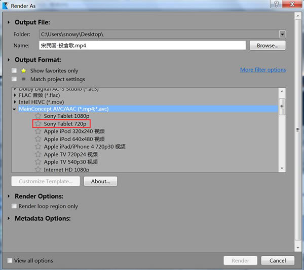 MAGIX VEGAS Pro 21�⼤���ʹ�÷���4
