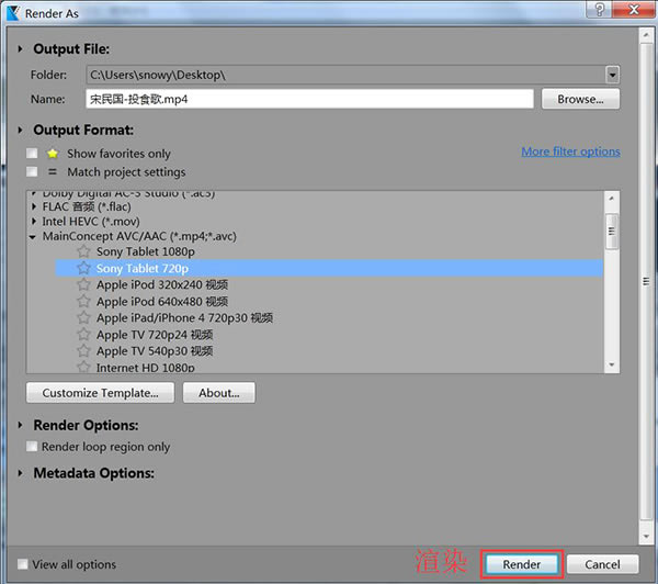 MAGIX VEGAS Pro 21�⼤���ʹ�÷���5