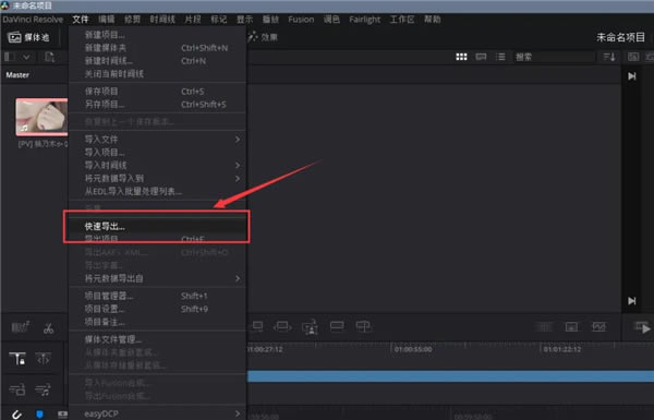 达芬奇调色软件免费版怎么导出视频截图5