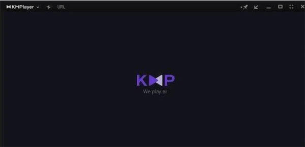 KMPlayerרҵʹ÷