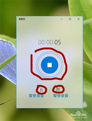 ϲ�����ż���������Ѱ���ô����3