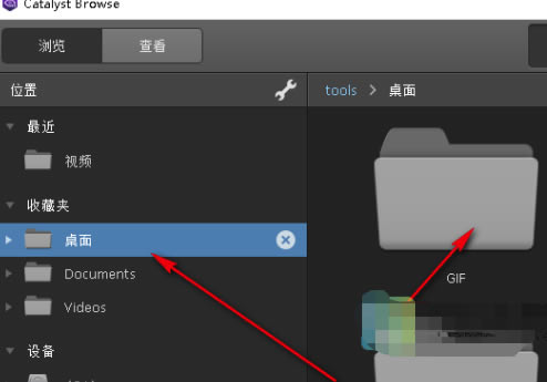 Catalyst Browseʹ�÷���