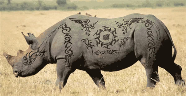 ��Lockdown�ر�桿Aescripts Lockdown������� v1.5.5 �����ر��