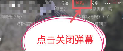 �Ѻ���Ƶ���԰��������ô�ص���Ļ