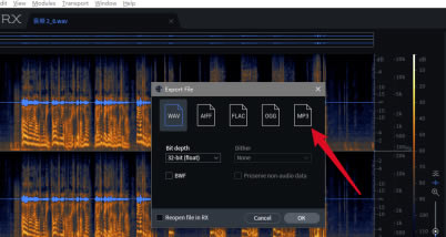 iZotope RX7���İ���ô����MP3