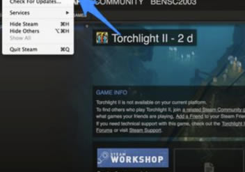 Twitch���԰���ô��������