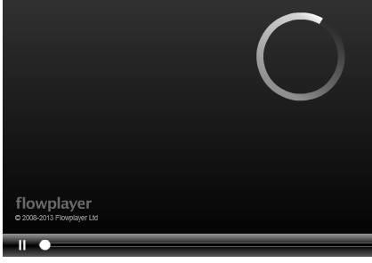 FlowPlayer������