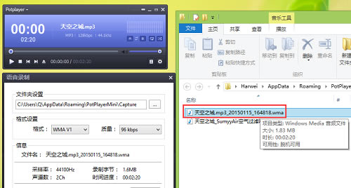PureCodec���������԰���ô��ʽת��