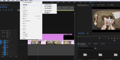 Pr2019���İ�����ر����ô������Ļ��