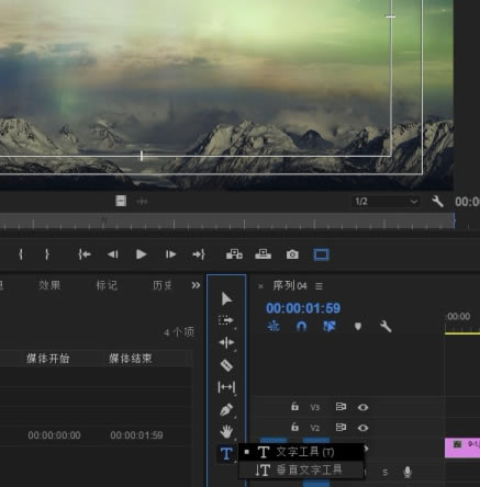 Pr2019���İ�����ر����ô����Ļ