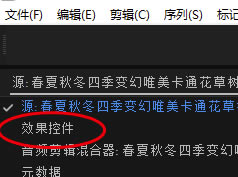 Pr2019���İ�����ر����ô��ؼ�֡