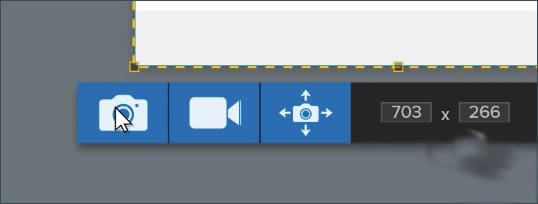 TechSmith SnagIt��Ѱ�ʹ�ý̳̽�ͼ