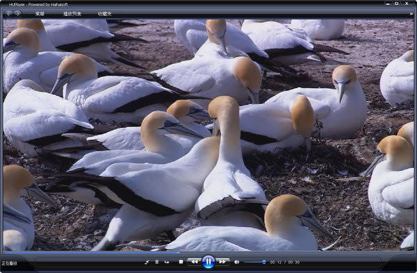 HUPlayerءHUPlayer v1.0.6.0 ٷ汾