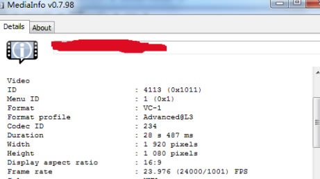 MediaInfo���İ���ô���������