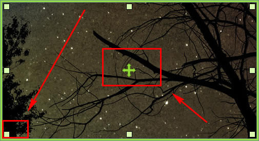 oCam���԰��ͼ