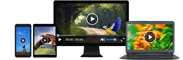 CKplayerءCKplayerҳƵ v18.01.10 İ(װ̳)-վ