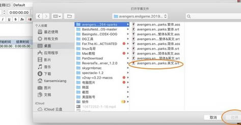 ôʹAegisubתsrtĻassĻʽ