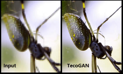 TecoGANر