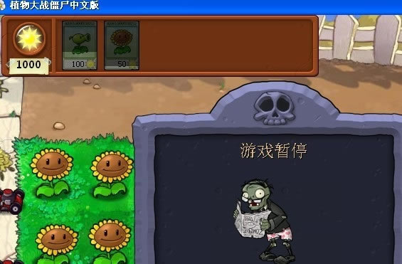 ce޸