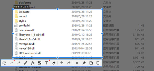 Snipasteרҵر桿Snipasteٷ v2.5.1 Ѱ