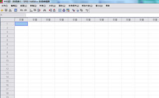 SPSS