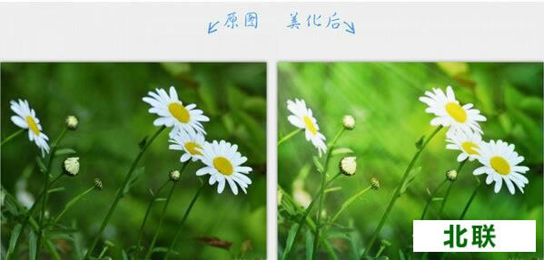 2345ͼ2021ǿٷ
