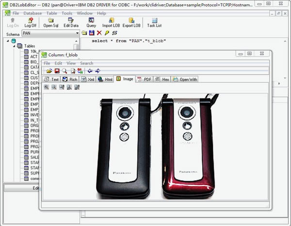DB2LobEditor-db2ݿ༭-DB2LobEditor v2.9ٷ汾
