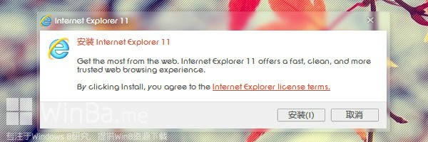 IE11 win7