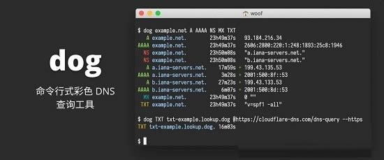 dog-ʽɫDNSѯ-dog v0.1.0ٷ汾