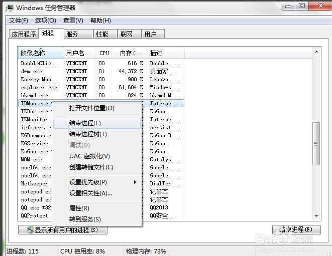 internet download manager(IDMd)