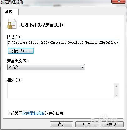 internet download manager(IDMd)